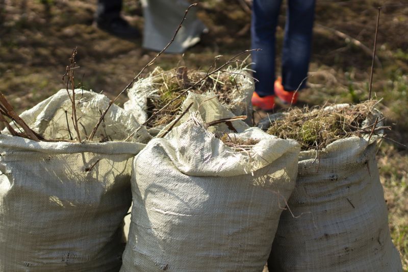 Clean-Up After Removal